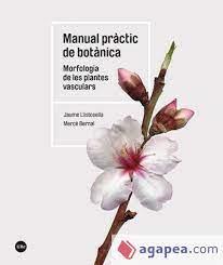 MANUAL PRÀCTIC DE BOTÀNICA | 9788491688266 | LLISTOSELLA VIDAL, JAUME/BERNAL CID, MERCÈ | Llibreria Huch - Llibreria online de Berga 