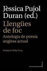 LLENGUES DE FOC | 9788417833787 | Llibreria Huch - Llibreria online de Berga 