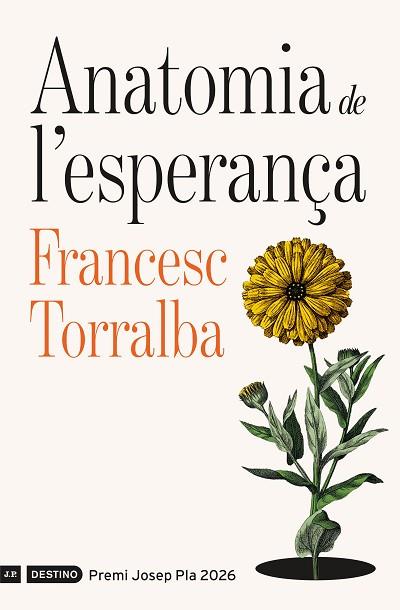 ANATOMIA DE L'ESPERANÇA | 9788419734310 | TORRALBA ROSELLÓ, FRANCESC | Llibreria Huch - Llibreria online de Berga 