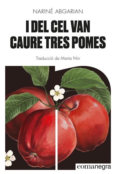 I DEL CEL VAN CAURE TRES POMES | 9788418857041 | ABGARIAN, NARINÉ | Llibreria Huch - Llibreria online de Berga 