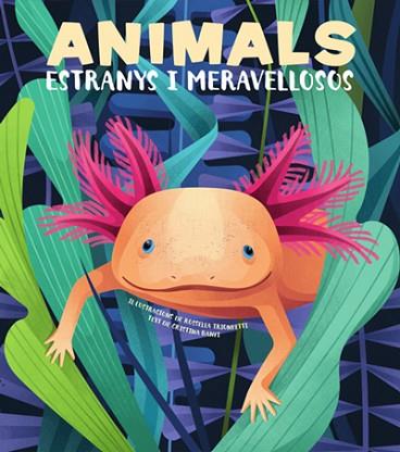 ANIMALS EXTRANYS I MERAVELLOSOS (VVKIDS) | 9788468270685 | BANFI, CRISTINA | Llibreria Huch - Llibreria online de Berga 