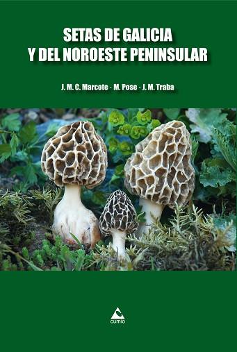 SETAS DE GALICIA Y DEL NOROESTE PENINSULAR | 9788482894492 | CASTRO MARCOTE, JOSE MANUEL [VER TITULOS] | Llibreria Huch - Llibreria online de Berga 