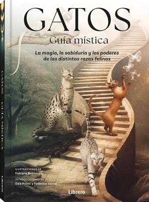 GATOS GUIA MISTICA | 9789464992007 | BELMONTE, FABIANA | Llibreria Huch - Llibreria online de Berga 