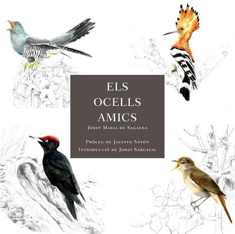 OCELLS AMICS, ELS | 9788412949025 | DE SAGARRA, JOSEP MARIA | Llibreria Huch - Llibreria online de Berga 