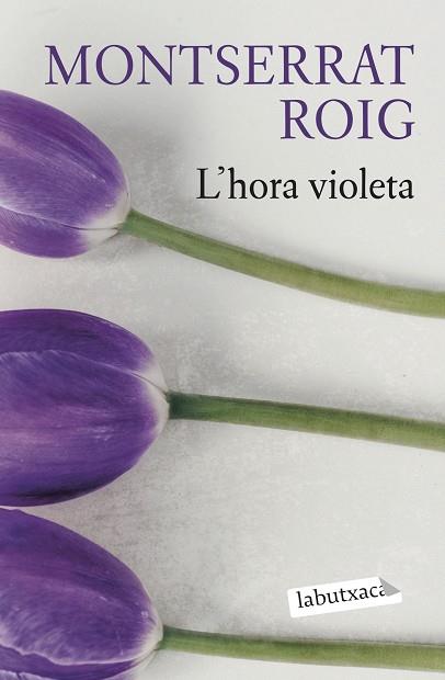 HORA VIOLETA, L' | 9788419107503 | ROIG, MONTSERRAT | Llibreria Huch - Llibreria online de Berga 