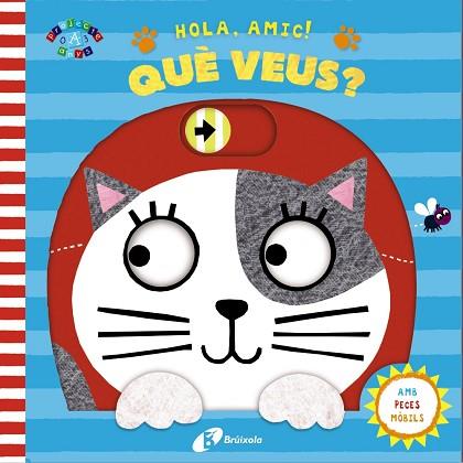 QUÈ VEUS? | 9788499068039 | VARIOS AUTORES | Llibreria Huch - Llibreria online de Berga 