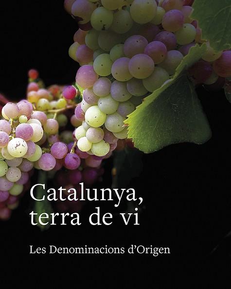CATALUNYA, TERRA DE VI | 9788416445615 | TOLOSA PLANET, LLUÍS/SUCARRATS MIRÓ, JOSEP/FRANCÀS MARTORELL, RAMON/SANS I TRAVÉ, JOSEP MARIA/GIMENA | Llibreria Huch - Llibreria online de Berga 