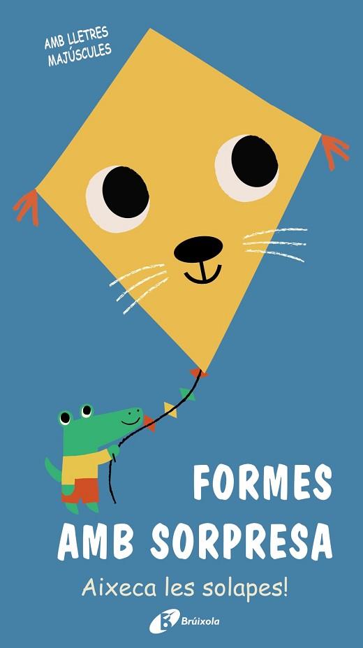 FORMES AMB SORPRESA | 9788499063690 | VARIOS AUTORES | Llibreria Huch - Llibreria online de Berga 