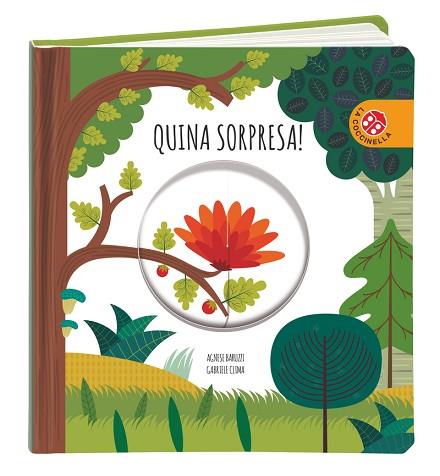 QUINA SORPRESA - CAT | 9788868909086 | Llibreria Huch - Llibreria online de Berga 