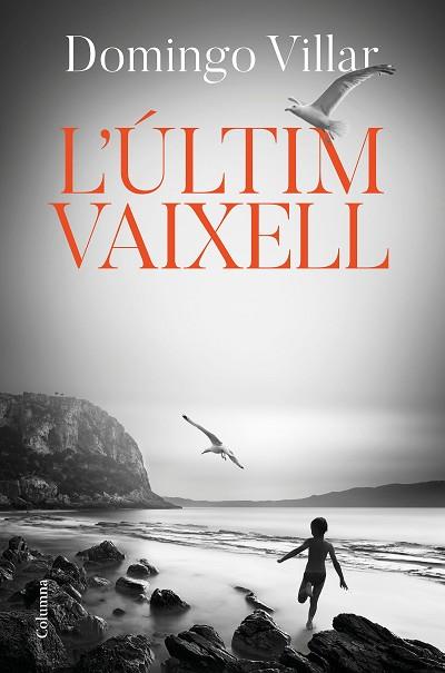 ÚLTIM VAIXELL, L' | 9788466425490 | VILLAR, DOMINGO | Llibreria Huch - Llibreria online de Berga 
