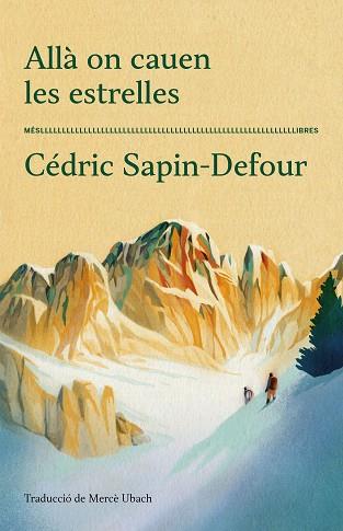 ALLÀ ON CAUEN LES ESTRELLES | 9788417353711 | CÉDRIC SAPIN-DEFOUR | Llibreria Huch - Llibreria online de Berga 