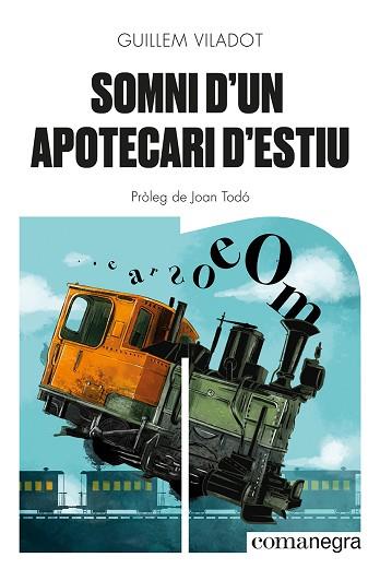 SOMNI D'UN APOTECARI D'ESTIU | 9788418857645 | VILADOT, GUILLEM | Llibreria Huch - Llibreria online de Berga 