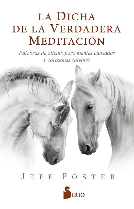 DICHA DE LA VERDADERA MEDITACIÓN, LA | 9788418000522 | FOSTER, JEFF | Llibreria Huch - Llibreria online de Berga 