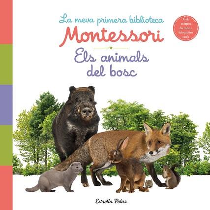 ANIMALS DEL BOSC. LA MEVA PRIMERA BIBLIOTECA MONTESSORI | 9788413890159 | AA. VV. | Llibreria Huch - Llibreria online de Berga 