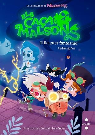LLOGATER FANTASMA, EL | 9788466148160 | MAÑAS ROMERO, PEDRO | Llibreria Huch - Llibreria online de Berga 