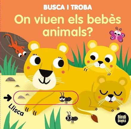 ON VIUEN ELS BEBÈS ANIMALS? | 9788418288005 | BARETTI, SONIA | Llibreria Huch - Llibreria online de Berga 