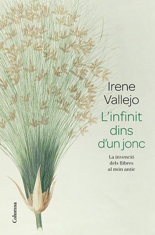 INFINIT DINS D'UN JONC, L' | 9788466426947 | VALLEJO, IRENE | Llibreria Huch - Llibreria online de Berga 