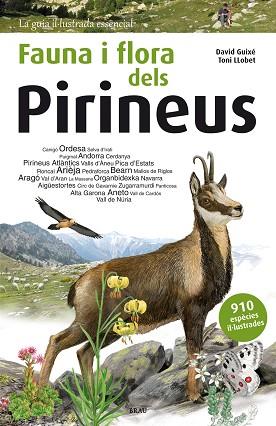 FAUNA I FLORA DELS PIRINEUS | 9788415885559 | GUIXÉ COROMINES, DAVID | Llibreria Huch - Llibreria online de Berga 