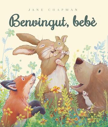 BENVINGUT, BEBÈ | 9788419912640 | CHAPMAN, JANE | Llibreria Huch - Llibreria online de Berga 