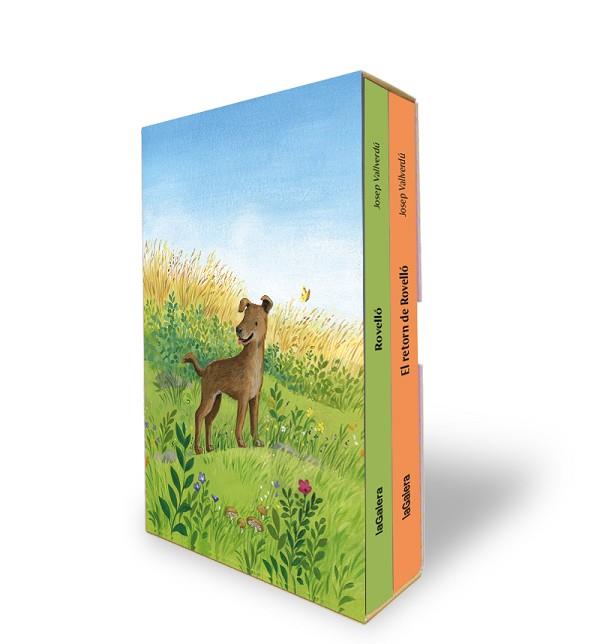 ESTOIG ROVELLÓ | 9788424676520 | VALLVERDÚ I AIXALÀ, JOSEP | Llibreria Huch - Llibreria online de Berga 