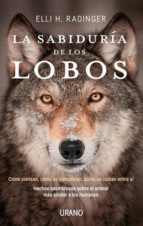 SABIDURÍA DE LOS LOBOS, LA | 9788416720262 | RADINGER, ELLI H. | Llibreria Huch - Llibreria online de Berga 