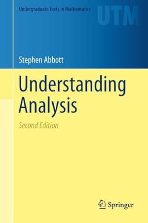 UNDERSTANDING ANALYSIS | 9781493927111 | Llibreria Huch - Llibreria online de Berga 
