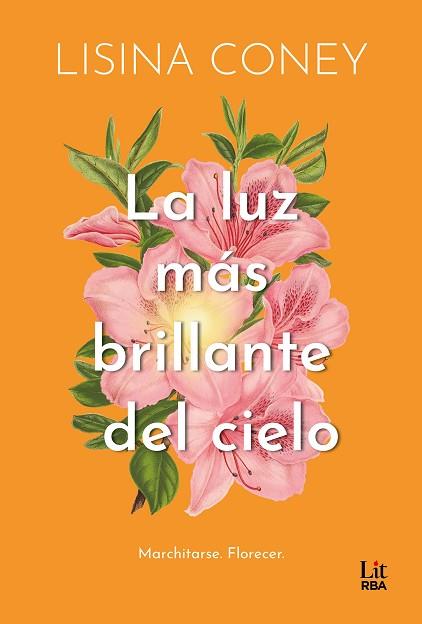 LUZ MÁS BRILLANTE DEL CIELO, LA | 9788411329323 | CONEY, LISINA | Llibreria Huch - Llibreria online de Berga 