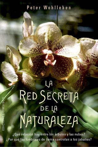 RED SECRETA DE LA NATURALEZA, LA | 9788491114192 | WOHLLEBEN, PETER | Llibreria Huch - Llibreria online de Berga 