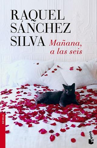 MAÑANA A LAS SEIS | 9788408140498 | SANCHEZ SILVA, RAQUEL | Llibreria Huch - Llibreria online de Berga 