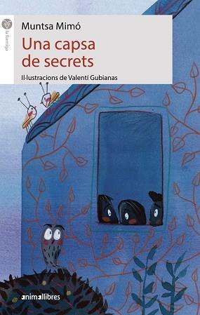 CAPSA DE SECRETS, UNA | 9788417599133 | MUNTSA MIMÓ | Llibreria Huch - Llibreria online de Berga 