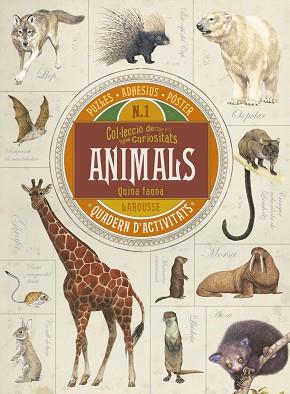 ANIMALS QUADERN D'ACTIVITATS | 9788416641703 | ESTANY I MORROS, IMMA ; TR. [VER TITULOS] | Llibreria Huch - Llibreria online de Berga 