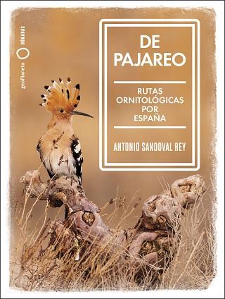 DE PAJAREO | 9788408251514 | SANDOVAL, ANTONIO | Llibreria Huch - Llibreria online de Berga 