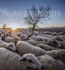 PALLARS TERRA DE CORDER | 9788412080193 | Llibreria Huch - Llibreria online de Berga 