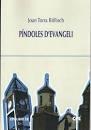PINDOLES D'EVANGELI | 9788491654988 | TORRA BITLLOCH, JOAN | Llibreria Huch - Llibreria online de Berga 