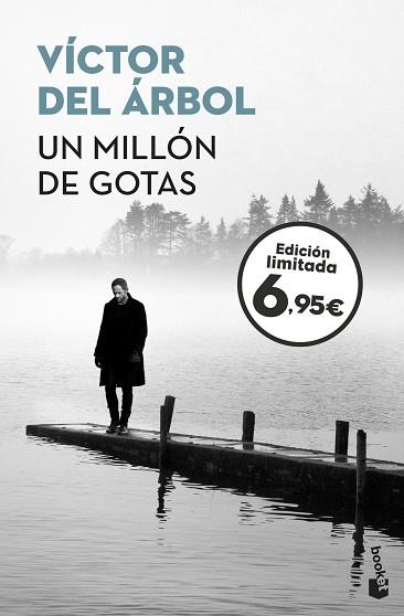 MILLÓN DE GOTAS, UN | 9788423355624 | DEL ÁRBOL, VÍCTOR | Llibreria Huch - Llibreria online de Berga 