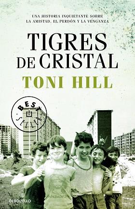 TIGRES DE CRISTAL | 9788466347204 | HILL, TONI | Llibreria Huch - Llibreria online de Berga 
