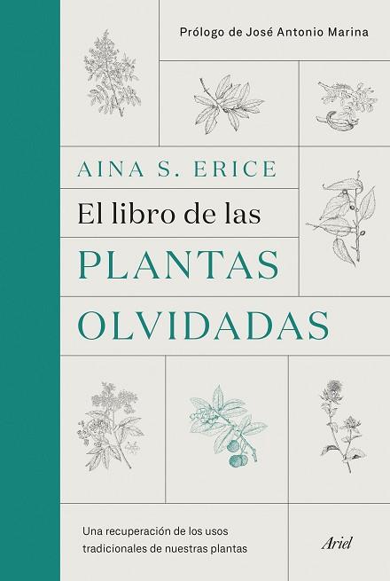 LIBRO DE LAS PLANTAS OLVIDADAS, EL | 9788434431461 | S. ERICE, AINA | Llibreria Huch - Llibreria online de Berga 