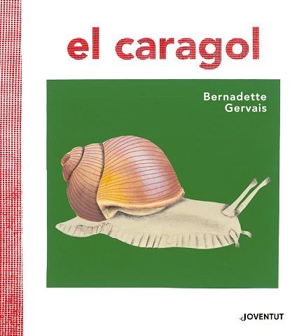 CARAGOL, EL | 9788426145680 | GERVAIS, BERNADETTE | Llibreria Huch - Llibreria online de Berga 