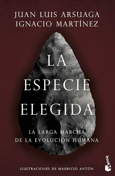 ESPECIE ELEGIDA | 9788423358229 | ARSUAGA, JUAN LUIS/MARTÍNEZ, IGNACIO | Llibreria Huch - Llibreria online de Berga 