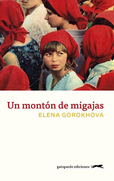 MONTON DE MIGAJAS, UN | 9788417109738 | GOROKHOVA, ELENA | Llibreria Huch - Llibreria online de Berga 