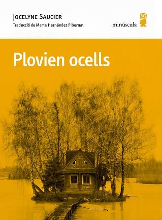 PLOVIEN OCELLS | 9788412662092 | SAUCIER, JOCELYNE | Llibreria Huch - Llibreria online de Berga 