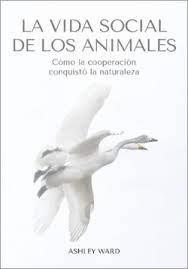 VIDA SOCIAL DE LOS ANIMALES, LA | 9788412645491 | WARD, ASHLEY | Llibreria Huch - Llibreria online de Berga 