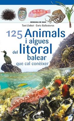 125 ANIMALS I ALGUES DEL LITORAL BALEAR QUE CAL CONÈIXER | 9788413562704 | BALLESTEROS SAGARRA, ENRIC | Llibreria Huch - Llibreria online de Berga 