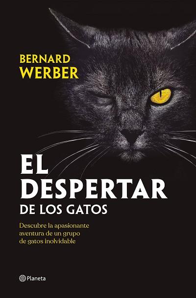 DESPERTAR DE LOS GATOS, EL | 9788408251835 | WERBER, BERNARD | Llibreria Huch - Llibreria online de Berga 