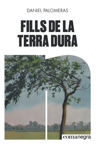 FILLS DE LA TERRA DURA | 9788418022296 | PALOMERAS CASADEJÚS, DANIEL | Llibreria Huch - Llibreria online de Berga 