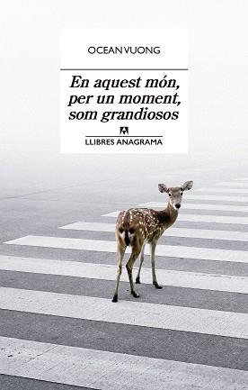 EN AQUEST MÓN, PER UN MOMENT, SOM GRANDIOSOS | 9788433915801 | VUONG, OCEAN | Llibreria Huch - Llibreria online de Berga 