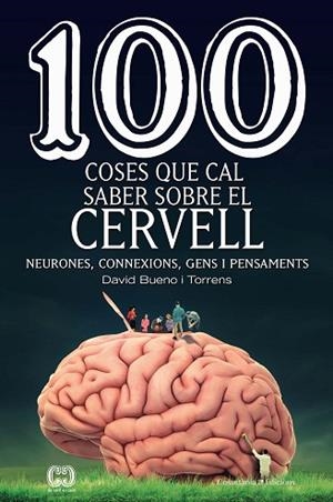 100 COSES QUE CAL SABER SOBRE EL CERVELL | 9788490349137 | BUENO I TORRENS , DAVID | Llibreria Huch - Llibreria online de Berga 