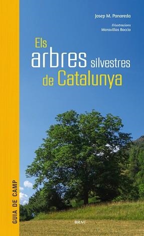 ARBRES  SILVESTRES DE CATALUNYA, ELS | 9788415885856 | PANAREDA CLOPÉS, JOSEP M | Llibreria Huch - Llibreria online de Berga 