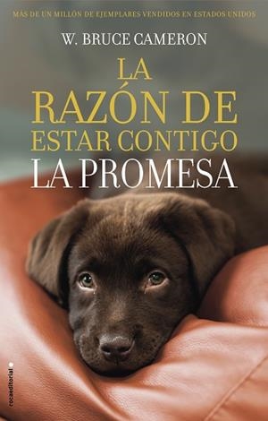 RAZON DE ESTAR CONTIGO, LA LA PROMESA | 9788417167103 | CAMERON, W. BRUCE | Llibreria Huch - Llibreria online de Berga 