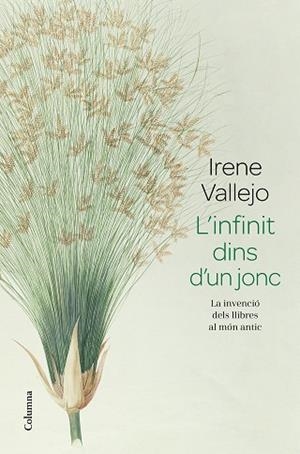 INFINIT DINS D'UN JONC, L' | 9788466426947 | VALLEJO, IRENE | Llibreria Huch - Llibreria online de Berga 